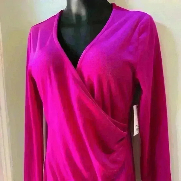 NWT Intempo Bright Pink Velvet Long Sleeve Dress Women's Size Small - Picture 3 of 7